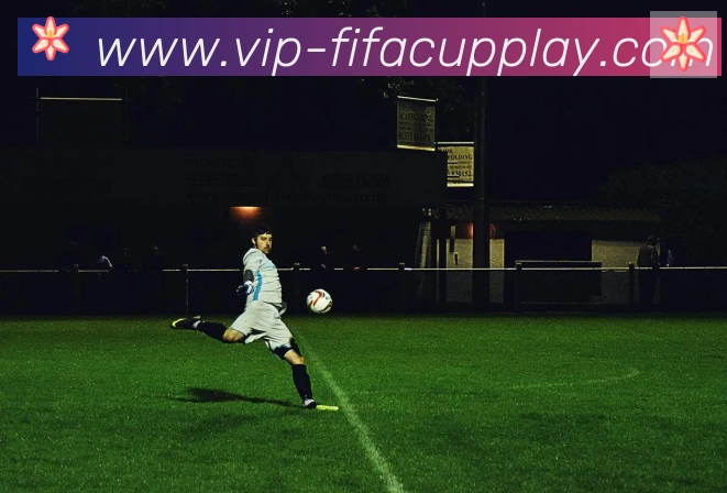 FIFA世界杯竞猜官方网站APP 高清赛事图